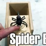 Spinnen Box